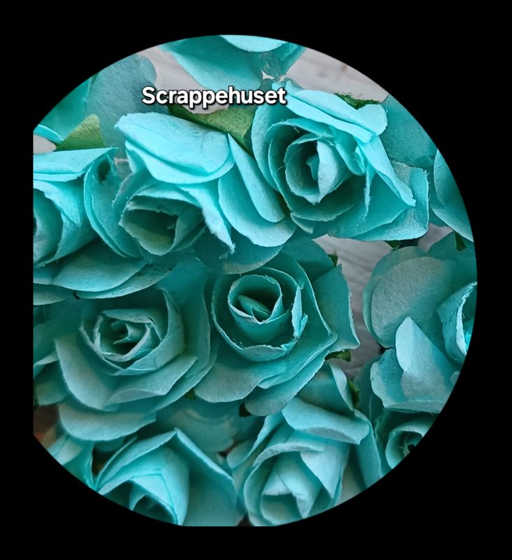 Turkise Roser - SH53