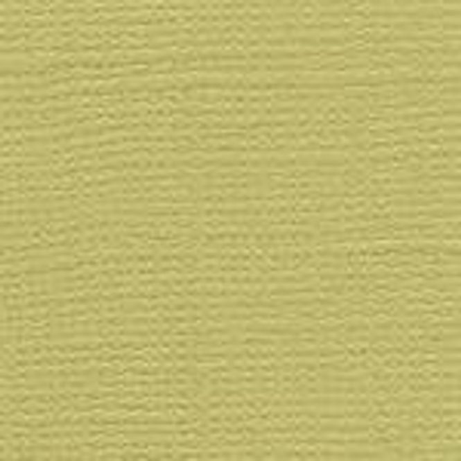 Hovedbilde Bazzil-l Canvas -12 x 12inch- Lima Bean-T5-5118