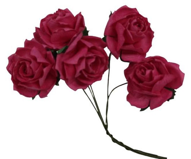 Hovedbilde KNALLROSA, ROSER. STORE 5 STK SH102