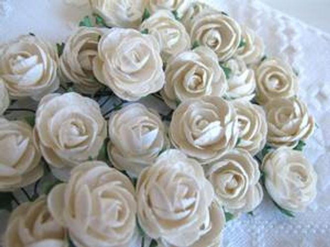Hovedbilde Papirdesign- Pioner- Cream-P2