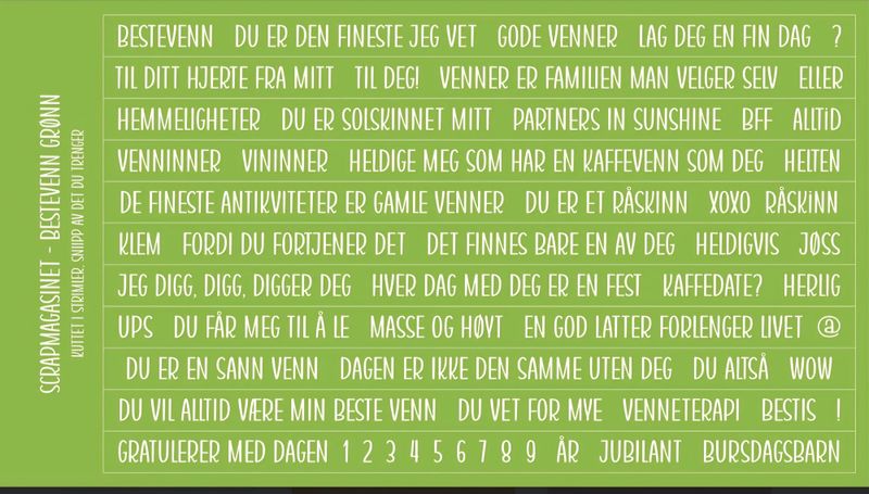 Scrapmagasinet-Klistremerke-Bestevenn 10x15- Grønn