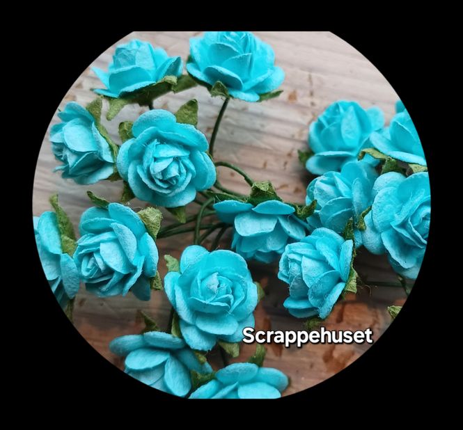 Hovedbilde Mulberry Roser - Turkise - SH76