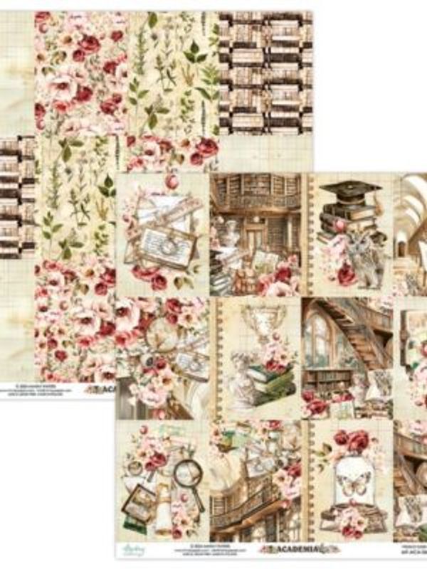 Academia 06 bilde ark fra Mintay