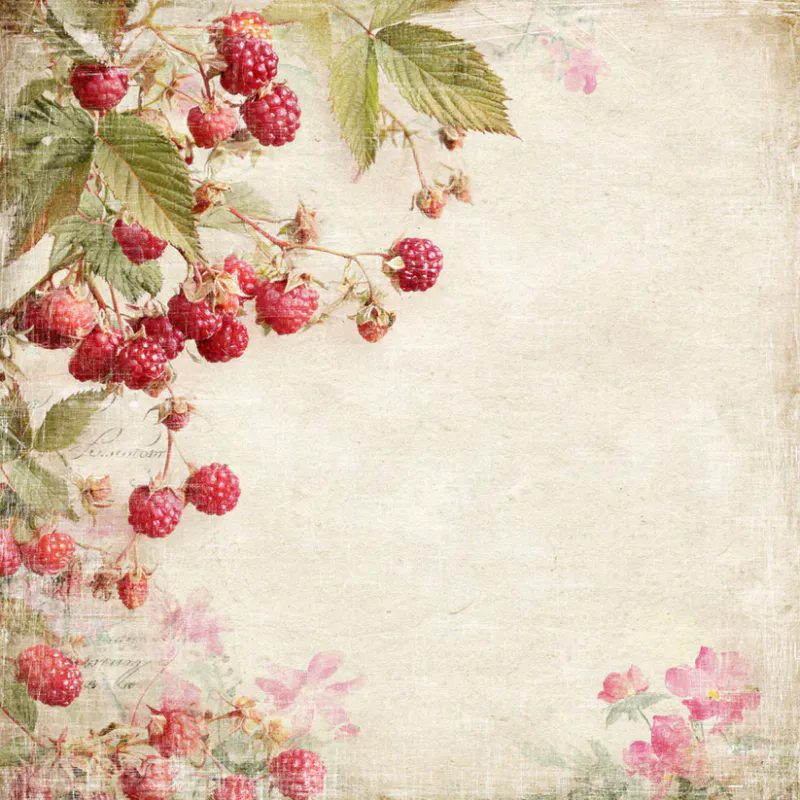  Reprint - Summer Garden Collection Paperpack/blokk - 12x12inch