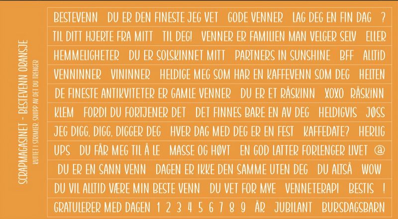 Scrapmagasinet-Klistremerke-Bestevenn 10x15- Orange