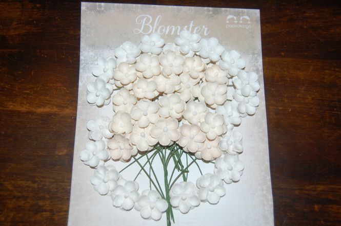Hovedbilde Papirdesign-Søte blomster-Hvit og Crem-RB1