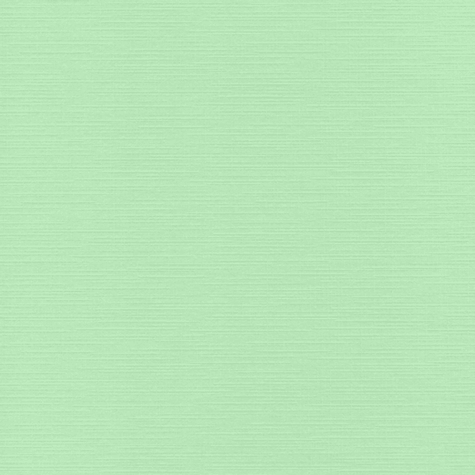 Hovedbilde Kartong-Linen-12x12 inch-240 gr-Mellomgrønn 20